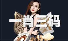 49导行网（中国）网坐IOS手机APP下载安拆