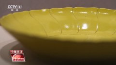 千年典范向新行｜从草木江山到缤纷华彩 动物染